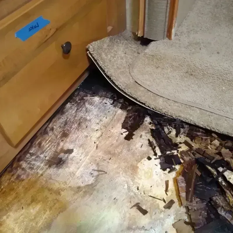 Wood Floor Water Damage in Boyette, FL